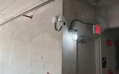 image8